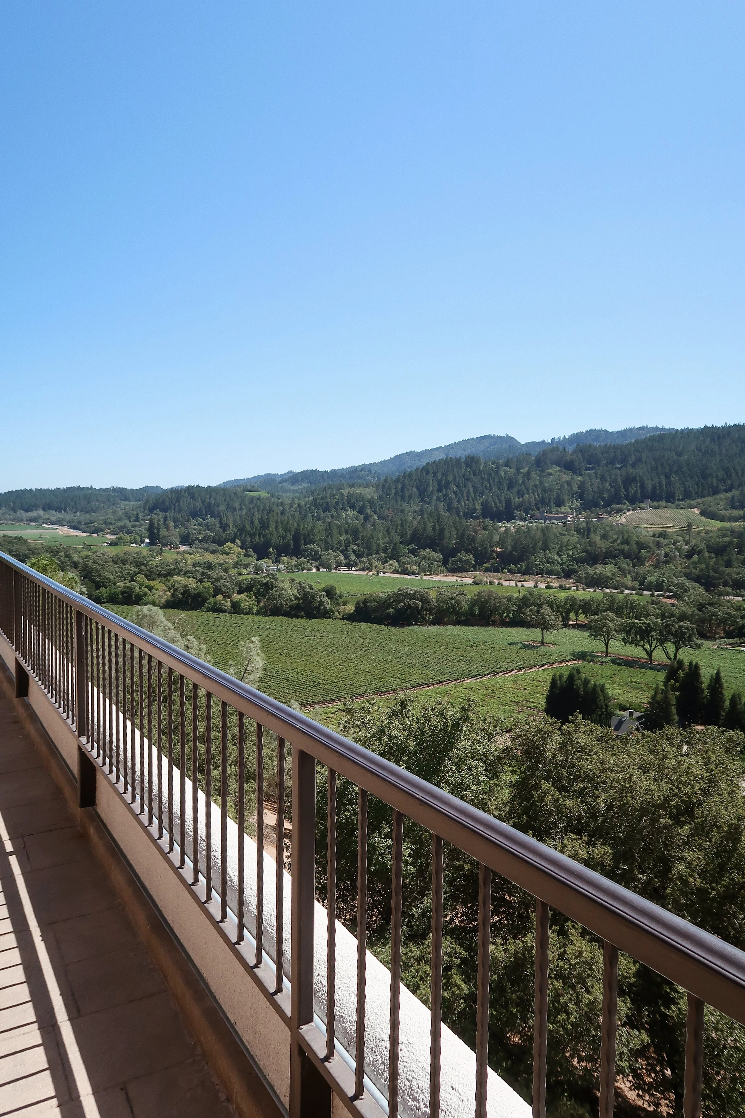 48 Hours in Napa Valley Guide — Tyler Harless